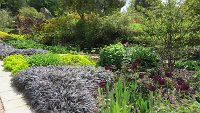 Chatsworth - Rock Garden - 3